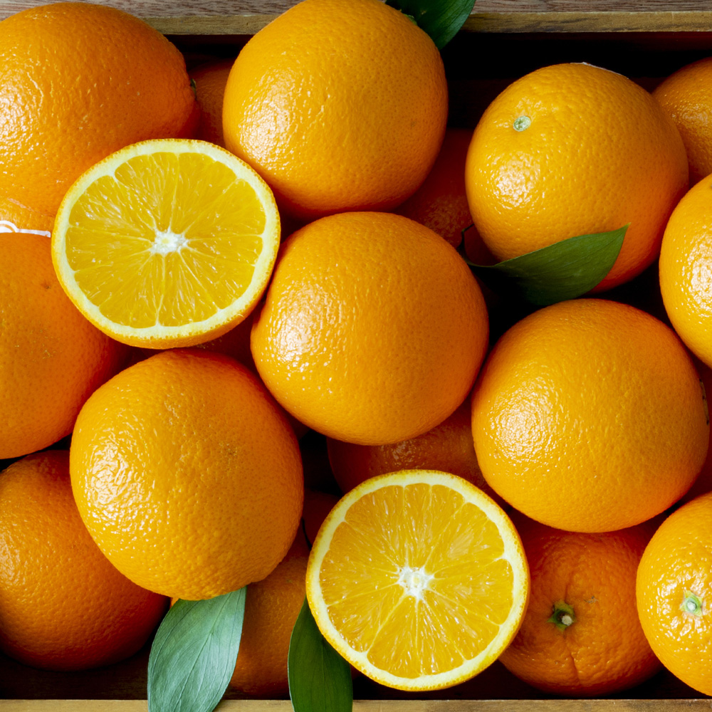 네이블 오렌지 특대과